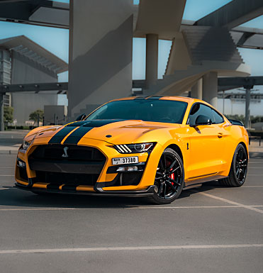 rent Mustang Shelby in dubai